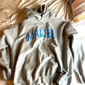 Brandy melville oversized grey malibu hoodie